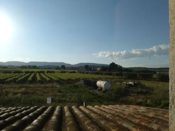 Panoramic İki Ayrı Yataklı Oda, Dağ Manzaralı (Azul)