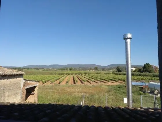 Panoramic Tek Büyük Yataklı Oda, Dağ Manzaralı (Salmon)