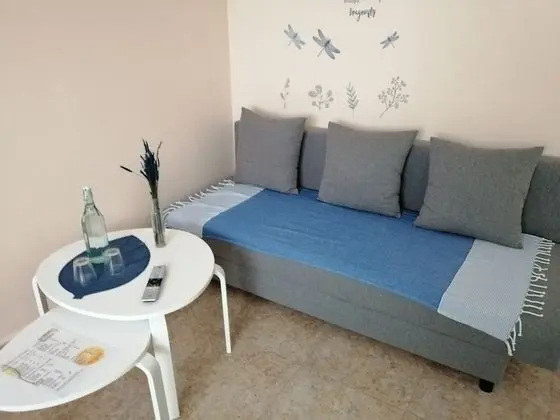 Exclusive Tek Büyük Yataklı Oda (Parellada)