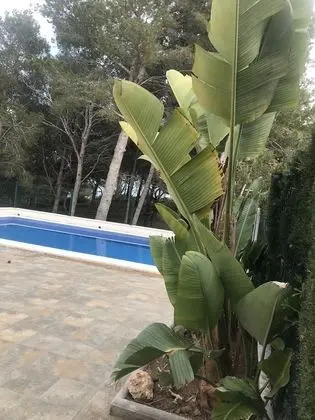 Villa, 3 Yatak Odası, Kişiye Özel Havuzlu