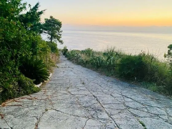 Apart Daire, Sigara İçilebilir