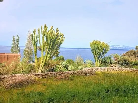 Apart Daire, Sigara İçilebilir