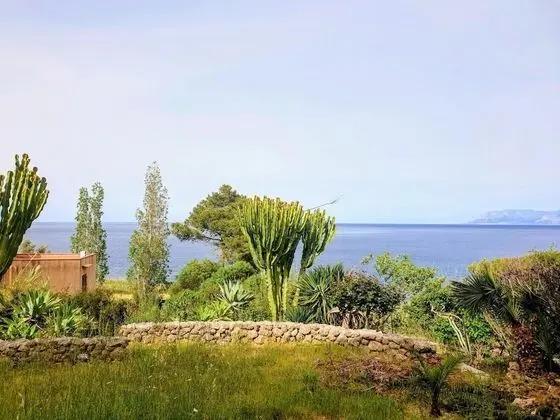 Apart Daire, Sigara İçilebilir