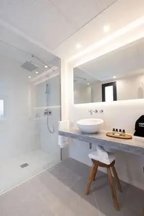 Comfort Çatı Katı (Loft), 1 En Büyük (King) Boy Yatak