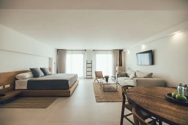 Panoramic Çatı Katı (Loft)