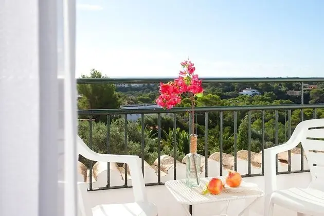 Standard Tek Büyük Yataklı Oda, Balkon, Bahçe Manzaralı
