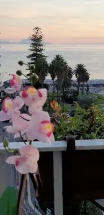 Süit, Deniz Manzaralı