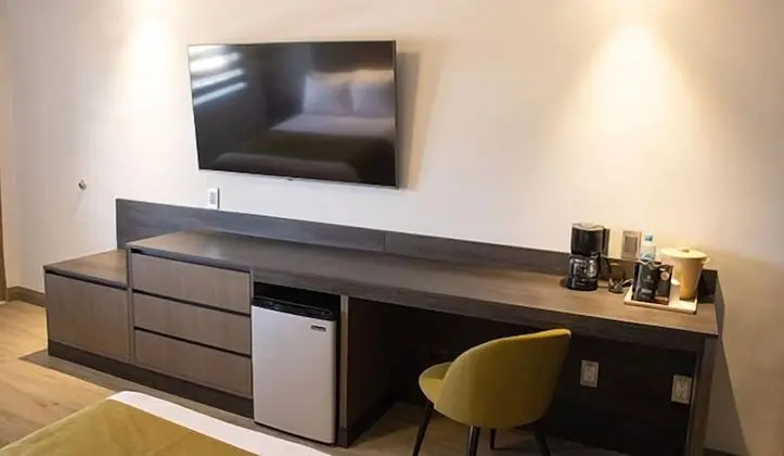 Executive Tek Büyük Yataklı Oda