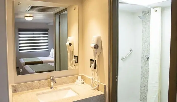 Executive Tek Büyük Yataklı Oda