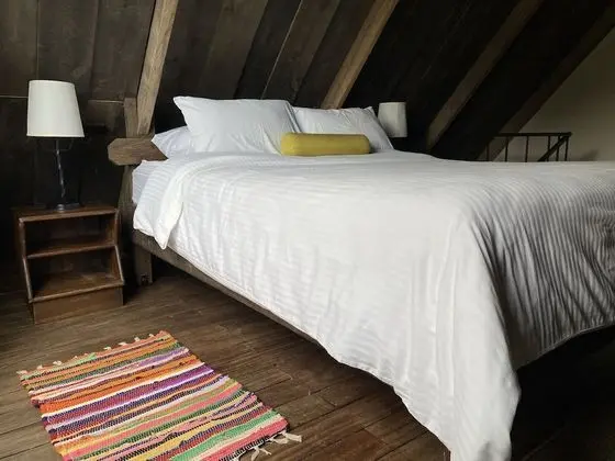 Standard Plus