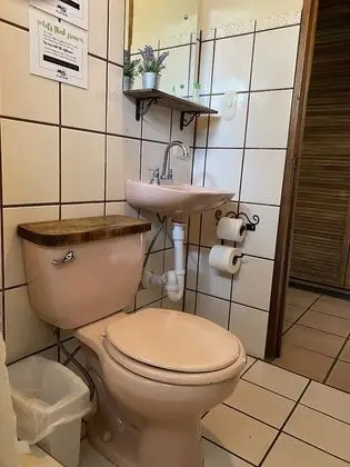 Standard Plus