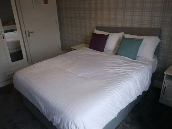 Deluxe Tek Büyük Yataklı Oda, Banyolu/Duşlu