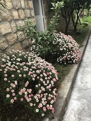 Comfort Stüdyo Süit, Bahçe Manzaralı