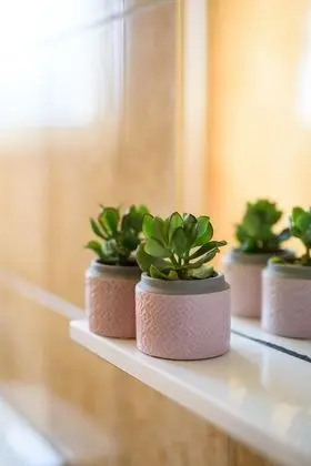 Comfort Süit, Teras, Kısmi Deniz Manzaralı