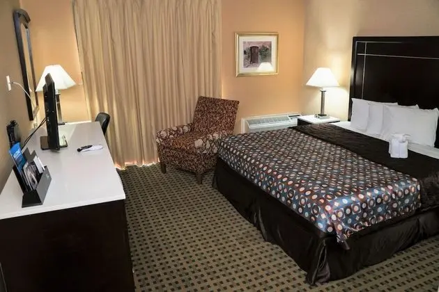 Standard Oda, 1 En Büyük (King) Boy Yatak, Sigara İçilmez