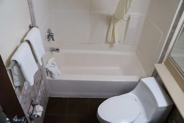 Standard Oda, 1 En Büyük (King) Boy Yatak, Sigara İçilmez