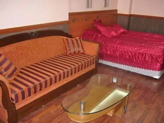 Deluxe Oda, 1 Çift Kişilik Yatak ve Çekyat