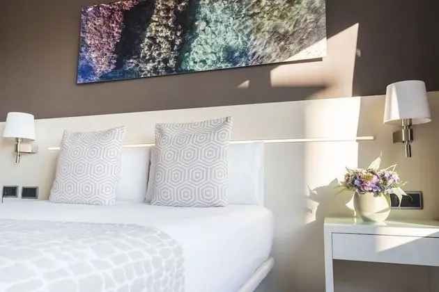 Executive Double or Twin Room Single use, Mountain View