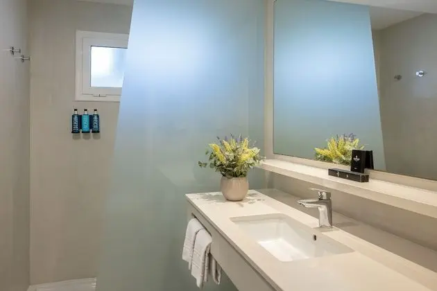 Executive Double or Twin Room Single use, Mountain View