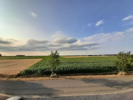 Panoramic Tek Büyük Yataklı Oda