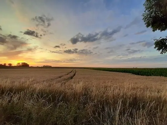 Panoramic Tek Büyük Yataklı Oda