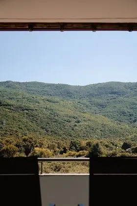 Pure Nature Suite, Mountain View