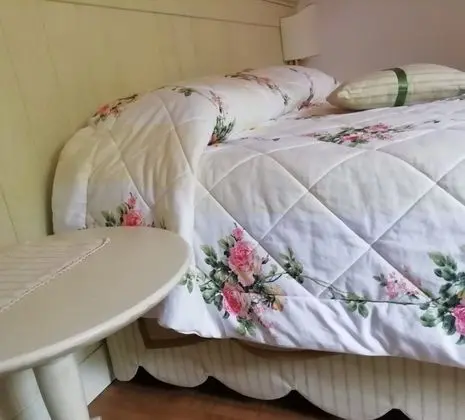 Comfort Tek Büyük Yataklı Oda, Bahçe Manzaralı