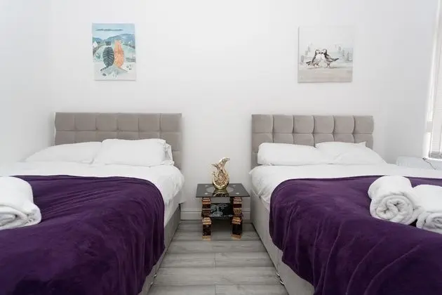 Superior Apart Daire, Özel Banyo (1 Bed, Sleeps 4)