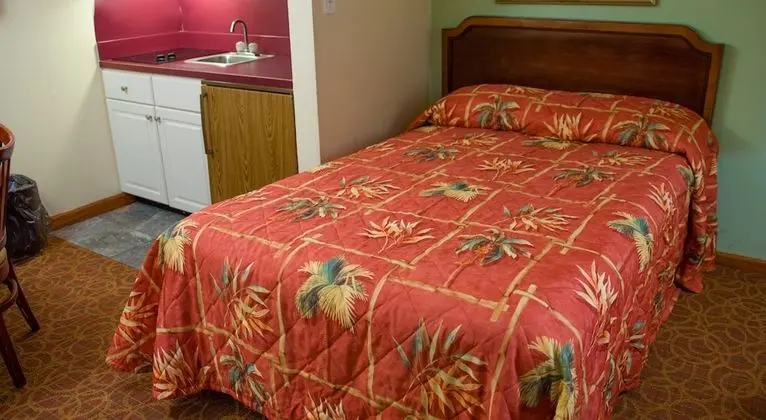 Deluxe Stüdyo, 1 Çift Kişilik Yatak ve Çekyat, Küçük Mutfak