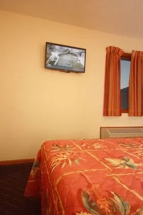 Standard Oda, 1 Çift Kişilik Yatak, Buzdolabı ve Mikrodalga