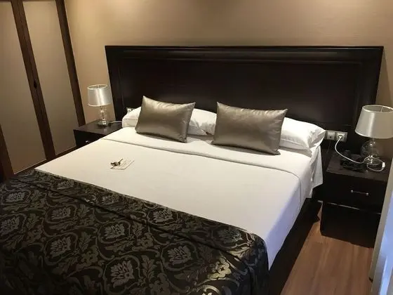 Superior Tek Büyük Yataklı Oda, 1 Büyük (Queen) Boy Yatak