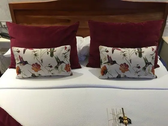 Superior Tek Büyük Yataklı Oda, 1 Büyük (Queen) Boy Yatak