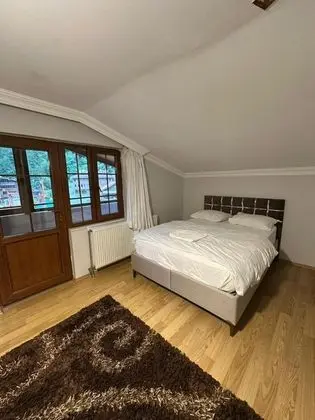 Çift Kişilik, Dağ Manzaralı