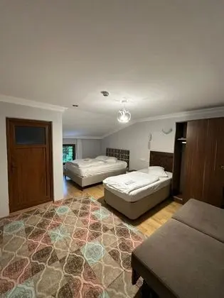 Standart Oda, Dağ Manzaralı