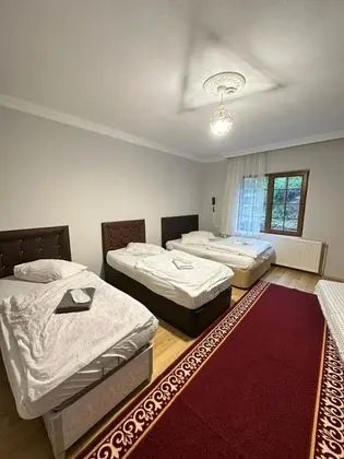Standart Oda, Dağ Manzaralı, Balkonsuz