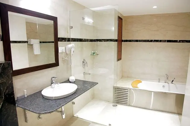 Süit, 1 En Büyük (King) Boy Yatak, Engellilere Uygun, Şehir Manzaralı (Cama)