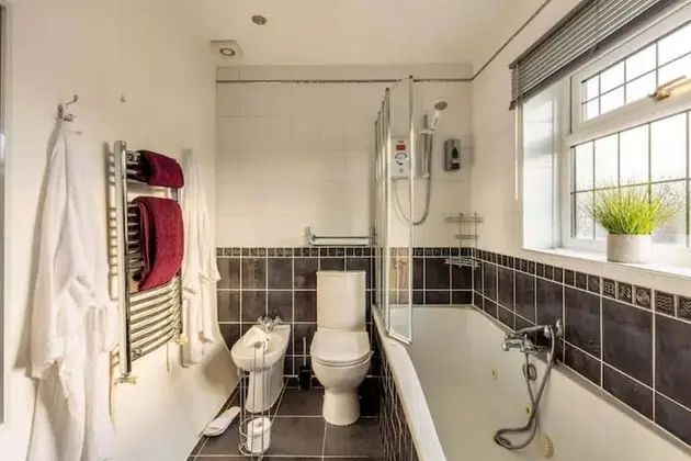 Tek Büyük Yataklı Oda, Banyolu/Duşlu (Room 3)