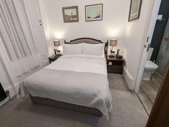 Basic Tek Büyük Yataklı Oda, Özel Banyo (Room 1)