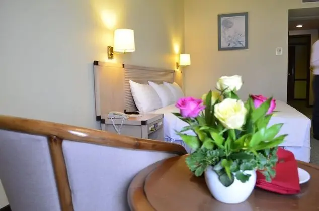 Deluxe Oda, 1 Yatak Odası, Sigara İçilmez, Şehir Manzaralı