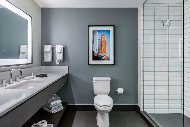 Oda, 1 En Büyük (King) Boy Yatak, Engellilere Uygun, Sigara İçilmez (Oversize Walk in Shower)