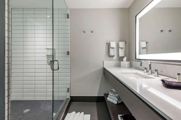 Oda, 1 En Büyük (King) Boy Yatak, Engellilere Uygun, Sigara İçilmez (Oversize Walk in Shower)