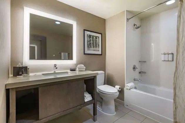 Oda, 1 En Büyük (King) Boy Yatak ve Çekyat, Engellilere Uygun, Sigara İçilmez (Bathtub)