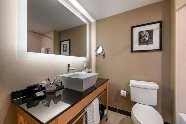 Süit, 1 En Büyük (King) Boy Yatak, Sigara İçilmez (2 Person Sofa Bed)