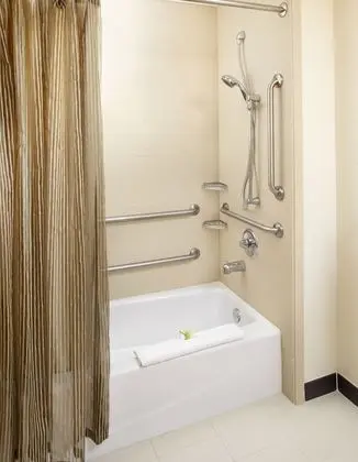 Süit, 1 En Büyük (King) Boy Yatak, Engellilere Uygun, Sigara İçilmez (Accessible Tub)