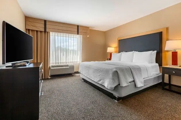 Süit, 1 En Büyük (King) Boy Yatak ve Çekyat, Engellilere Uygun, Sigara İçilmez