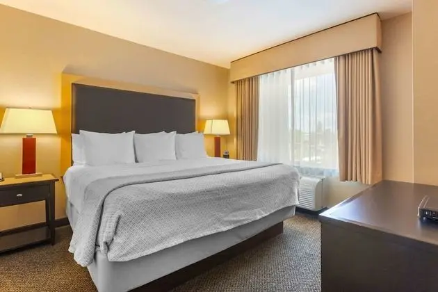 Süit, 1 En Büyük (King) Boy Yatak ve Çekyat, Engellilere Uygun, Sigara İçilmez