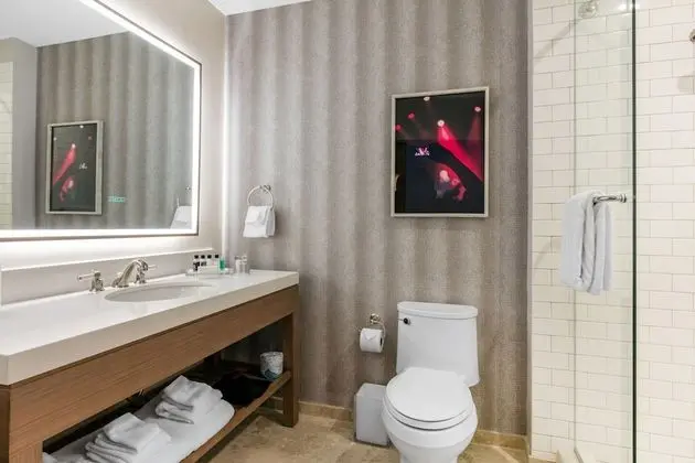 Süit, 1 En Büyük (King) Boy Yatak ve Çekyat, Engellilere Uygun, Sigara İçilmez (Roll-In Shower)