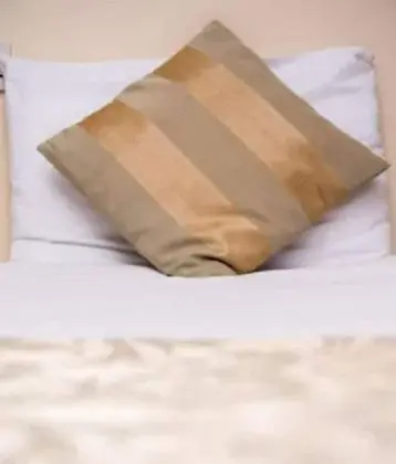 Süit