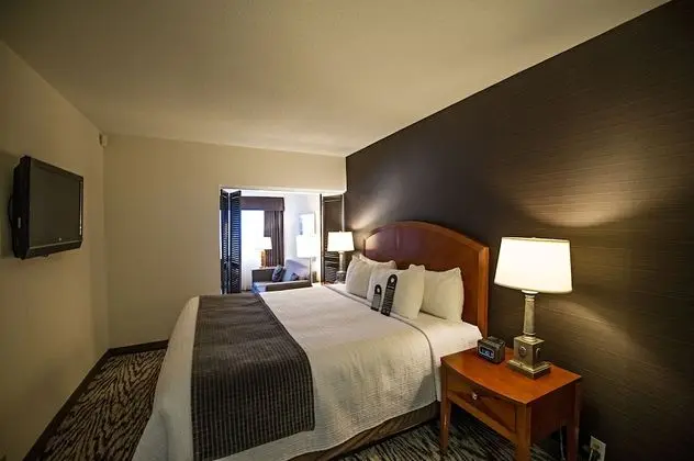 Superior Süit (1 Bedroom King)