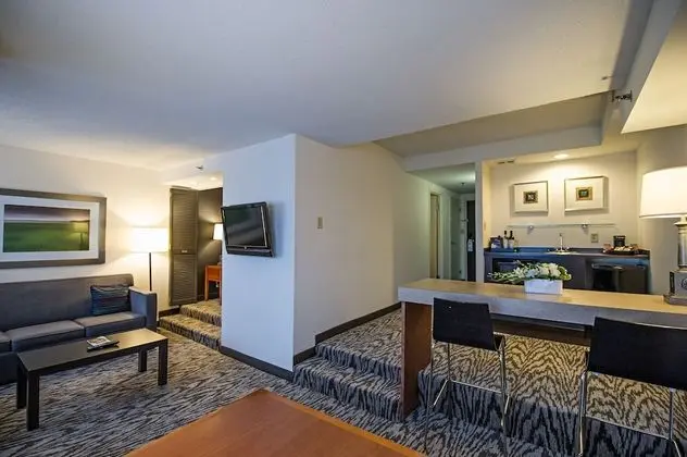 Superior Süit (1 Bedroom King)
